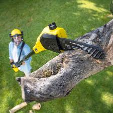 Best Lawn Watering Services  in Wharton, TX